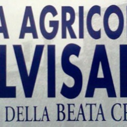 fiera agricola di Calvisano