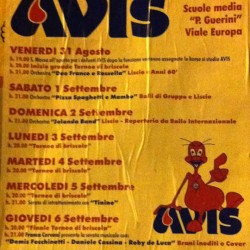 festa AVIS a Bagnolo Mella