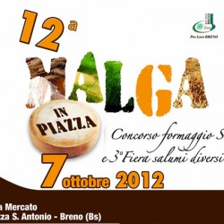 12 malga in piazza a Breno