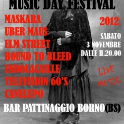 Alternative music day festival-Borno