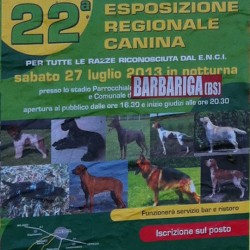 esposizione regionale canina a Barbariga