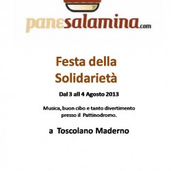 Festa della Solidarietà a Toscolano M.