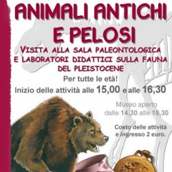 Animali Antichi e Pelosi a Gavardo