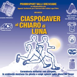 Ciaspogaver al Chiaro di Luna