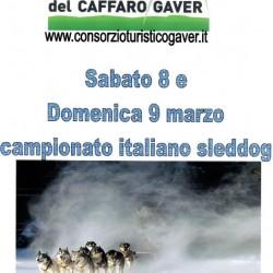 Campionato Italiano Sleddog al Gaver