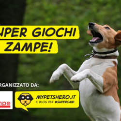 Super Giochi a 6 Zampe a Capriolo