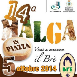 14° Malga in Piazza a Breno