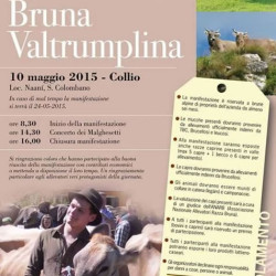 Bruna Valtrumplina a Collio