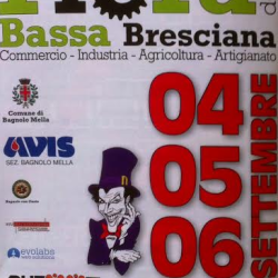 22 Fiera della Bassa Bresciana a Bagnolo Mella