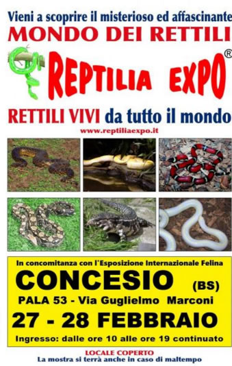 Reptilia Expo a Concesio 