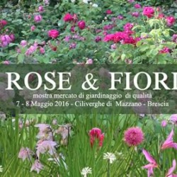 Rose e Fiori a Ciliverghe di Mazzano