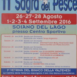 11 Sagra del Pesce a Soiano del Lago