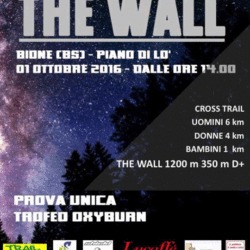 The Wall a Bione