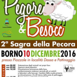 Pegore e Besòcc Sagra della Pecora a Borno