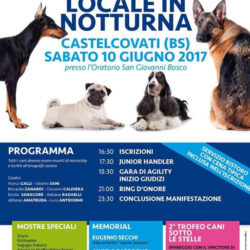 Expo Canina Locale in Notturna a Castelcovati