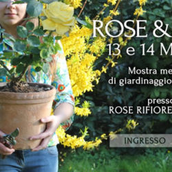 Rose e Fiori a Ciliverghe