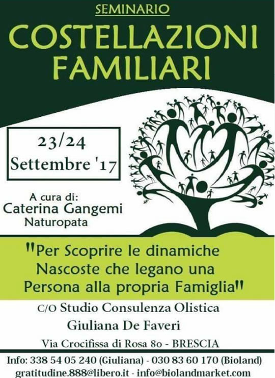 Seminario Costellazioni Familiari a Brescia 