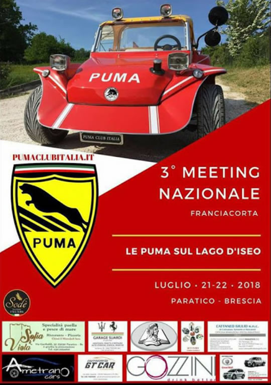 3 Meeting Nazionale Puma a Paratico 