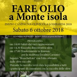 Fare Olio a Monte Isola