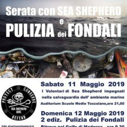 Sea Shepherd - Conferenza e pulizia lago a Toscolano Maderno