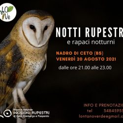 notti rupestri