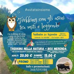 trekking con gli asini