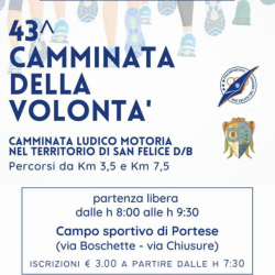 Camminata della volontà