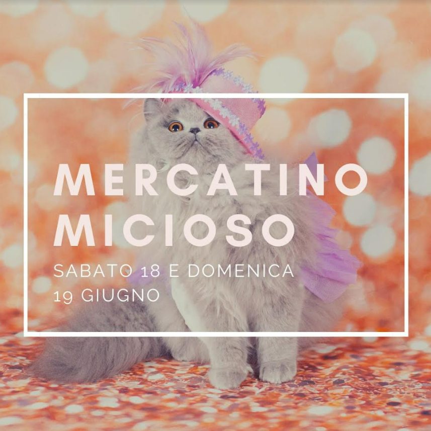 Mercatino micioso