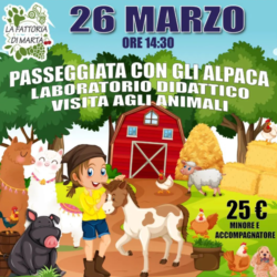 Passeggiata con gli Alpaca