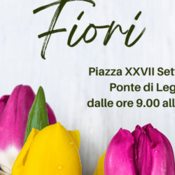 Fiera dei Fiori - Ponte di legno