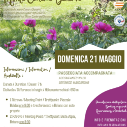 Peonia Tour - Gargnano