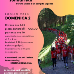 Camminata della solidarietà