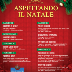 Aspettando il Natale - Manerbio