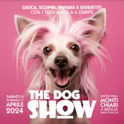 The Dog Show - Montichiari