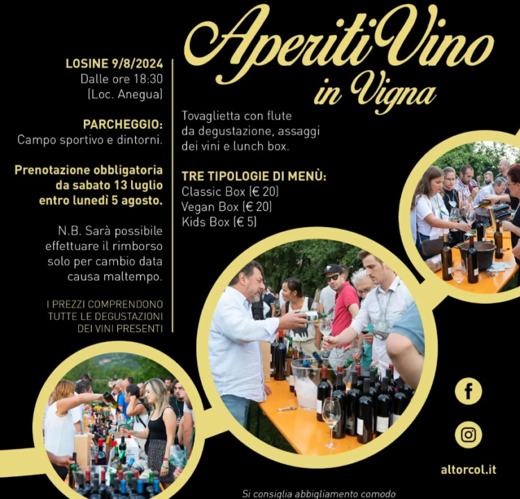 AperitiVino in Vigna - Losine