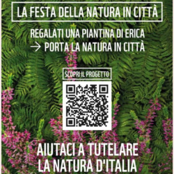 Urban nature 2024 -la natura si fa cura - Ome