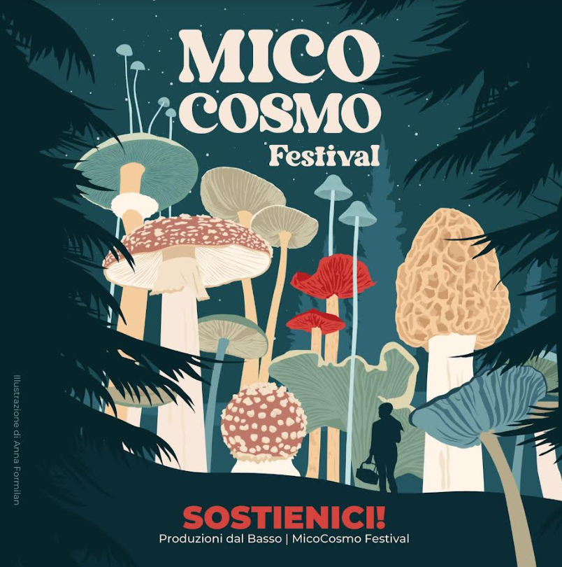 Micocosmo festival - Capo di ponte