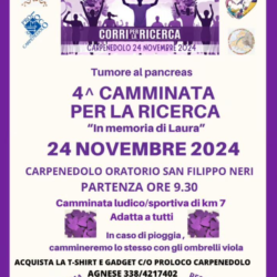 Camminata viola - Carpenedolo