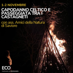 Capodanno Celtico e Passeggiata tra i Castagneti - Cevo