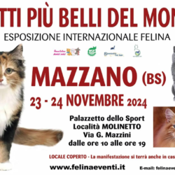 I gatti piu' belli del mondo - Mazzano