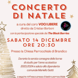 Concerto di Natale - Brandico