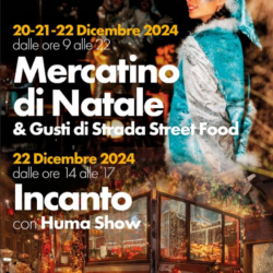 Mercatino di Natale e gusti di strada street food - Lonato del Garda